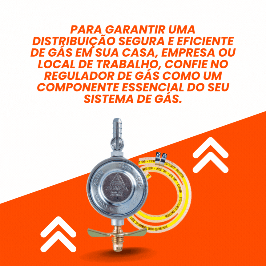 REGULADOR DE GÁS